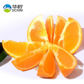 华柠 三峡秭归脐橙萱 橙子1500g 8.8元包邮(18.8-10券)