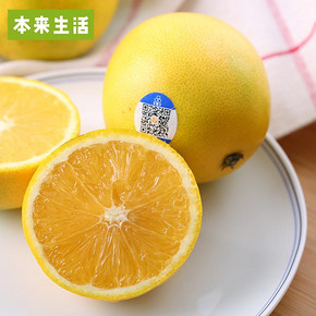 本来生活 褚橙励志橙 褚时健种的冰糖橙L型 5kg 118元包邮(148-30券)