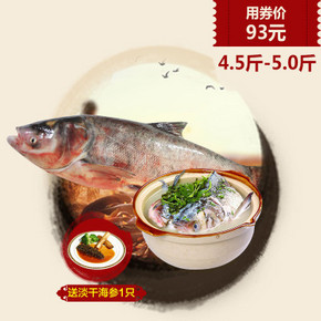 价比东家# 查干湖 冬捕胖头鱼 经典胖头鱼 4.5~5斤 93元(158-65券)