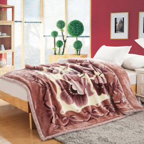 华北# 迎馨家纺 海之韵 双人加厚拉舍尔毛毯 180*220cm  折79.5元(159，下单5折)