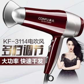 康夫（Kangfu） KF-3114 大功率电吹风2200W 29.9元包邮
