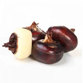 有机荸荠 2016年头批鲜货 15.9元包邮