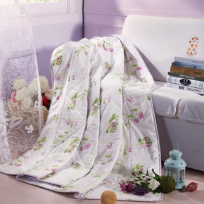 LOVO 罗莱家纺 紫茵果意双人夏被 200*230cm 109元(249-40-100券)