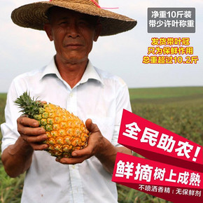 前1000名# 笨鲜生 徐闻香水甜菠萝 20斤 29.9元(59.8-29.9)