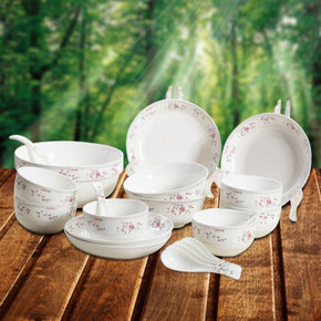 雅诚德 arst 经典陶瓷盘碗碟20头餐具套装 折59元(109，199-100券)