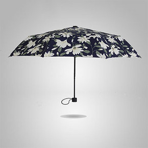gzg 印花雨伞折叠晴雨伞 19.9元包邮(29.9-10券)