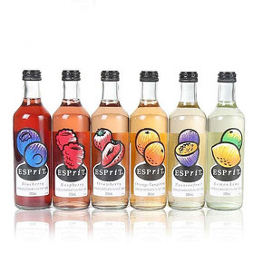 ESPRIT 艾思沛 缤纷口味果汁气泡水 300ml*6瓶 19.9元包邮