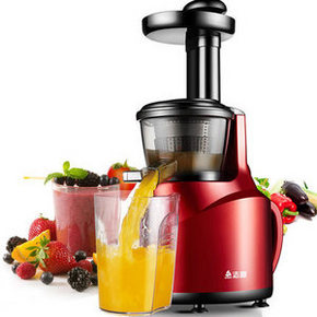 志高 ZD-170 家用小型慢速原汁机 174元(224-50券)