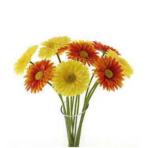 白菜美居# 美致 仿真非洲扶郎菊假花 3.8元包邮
