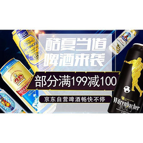 优惠券# 京东 德国风味啤酒 部分满199-100/领取满159-30券