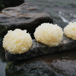 鹊草 古田正宗新鲜银耳 450g  18.9元包邮(28.9-10券)