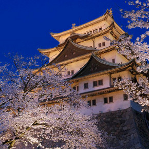 特价机票# 春秋旅游 上海-大阪飞-名古屋回8日往返机票 12月  699元