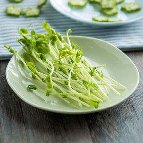 神券去处# 亿嘉 陶瓷餐具味碟甜点盘3个+橡胶手套 27元包邮(215-188券)