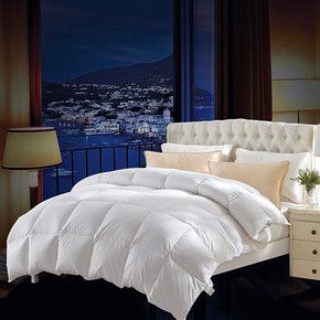 柔软丝滑# 睡大师 加厚保暖羽绒被900g 198元包邮(698-500券)