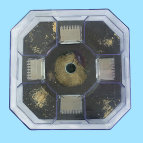 蟑螂去无踪#壹念 家用蟑螂捕捉器 9.9元包邮(19.9-10券)