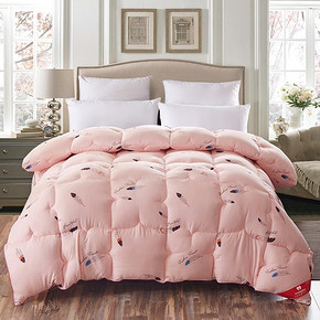 Homeplus 双人被子春秋被芯 150*200cm 49元包邮(69-20券)