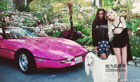  Wildfox