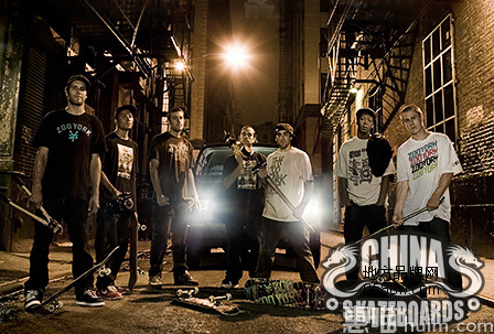 ZOO YORK