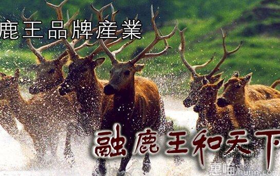 鹿王
