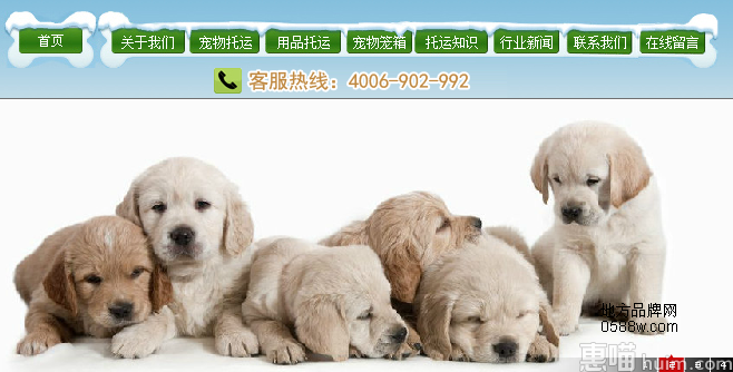 Dogeer多格儿