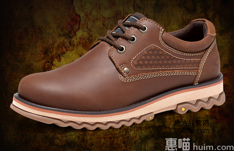 骆驼动感(camel active)