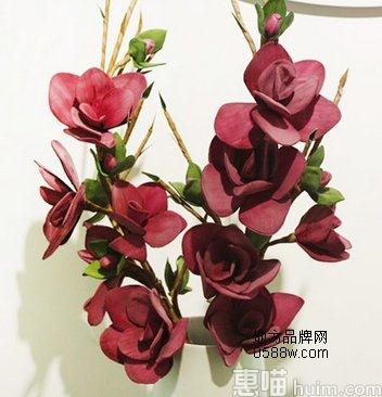 宝齐莱6款热销产品