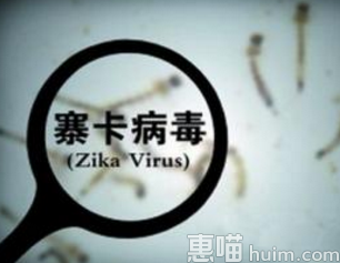 河南发现寨卡患者 曾到美国韩国旅行 该名旅客已被隔离观察