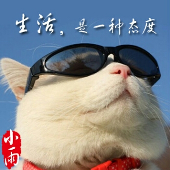 下小雨
