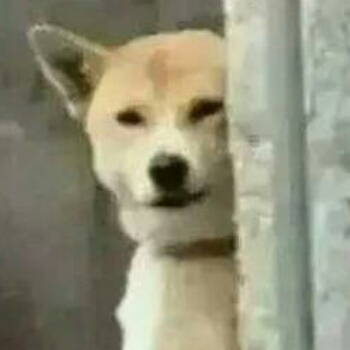 永远不毕业