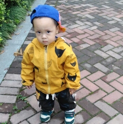 雷之歌