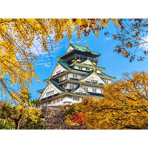 特价机票# 上海-日本名古屋大阪东京6天往返机票 599元起
