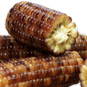 口感软糯# 北显 东北花糯玉米棒10穗真空包装2100g  24元包邮(49-25券)