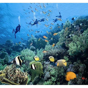 带你吃遍全中国# 美食系列——海南  天涯海角，椰风海韵