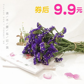 2h送达# 云南直发鲜花速递勿忘我鲜花10枝 9.9元包邮(29.9-20券)