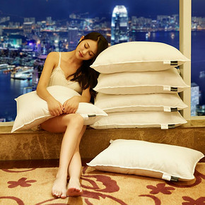 防螨抗菌#七星级酒店专用95%白鹅绒枕头羽绒枕芯 38元包邮(238-200券)