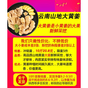 ￥20.8包邮 十记金柚 云南罗平黄姜 带箱10斤