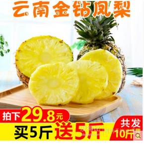 ￥29.8 云南金钻凤梨 10斤