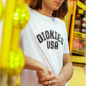 Dickies 复古像素字母印花T恤 DK006482 立减100，到手只需159