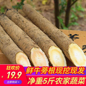 蒡蒡康 新鲜牛蒡根 5斤 16.9元包邮（需用券）