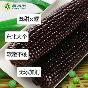 10点开始：玉米神 东北黑糯玉米棒 10根 *2件 49.7元（合24.85元/件）