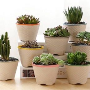 鼎晟 多肉花盆 6.9*9.8cm 6个装 8.8元包邮 ￥9