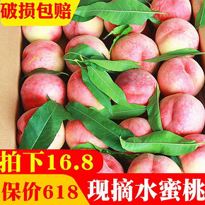 皇脆 水蜜桃 脆桃 5斤 *2件 25.6元包邮（下单立减）