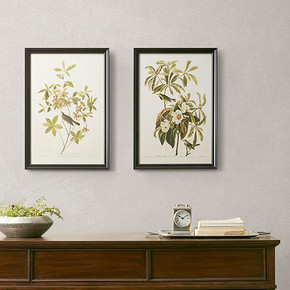 Harbor House花鸟植物装饰画美式客厅卧室沙发背景墙挂画Paradise 128元
