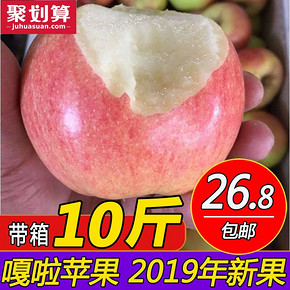 ￥13.4 10点： 苹果10斤包邮