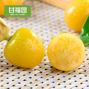 东北姑娘果3斤装 新鲜当季水果黄菇娘果灯笼果特产包邮 39.8元
