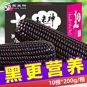 ￥19.9 4日10点 东北黑糯玉米棒10根