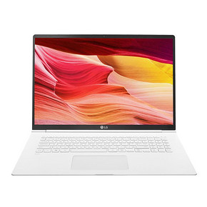 LG gram 17Z990-V.AA53C 17英寸笔记本电脑（i5-8265U、8GB、256GB、雷电3）白 7999元
