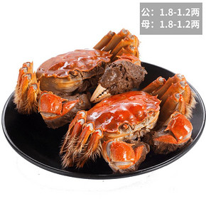 御佰鲜 大闸蟹鲜活现货六月黄特大蟹海鲜水产 *2件 69元（合34.5元/件）