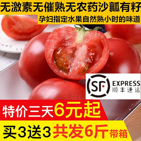 顺丰 隔日达 沙瓤多汁 甜甜西红柿 3kg 22.9元