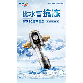 新家必备 海尔 反冲洗前置过滤器 水压监测 40微米精度 481.8元包安装